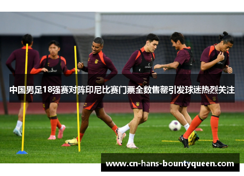 中国男足18强赛对阵印尼比赛门票全数售罄引发球迷热烈关注