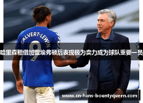 哈里森租借加盟埃弗顿后表现极为卖力成为球队重要一员